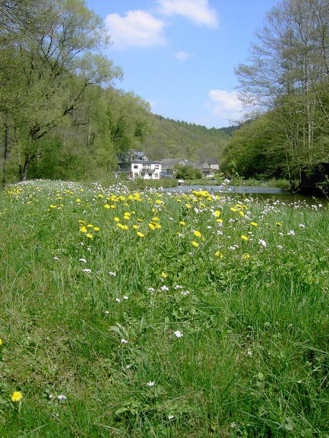 Appartamento Pulgersmuehle Morsdorf Esterno foto